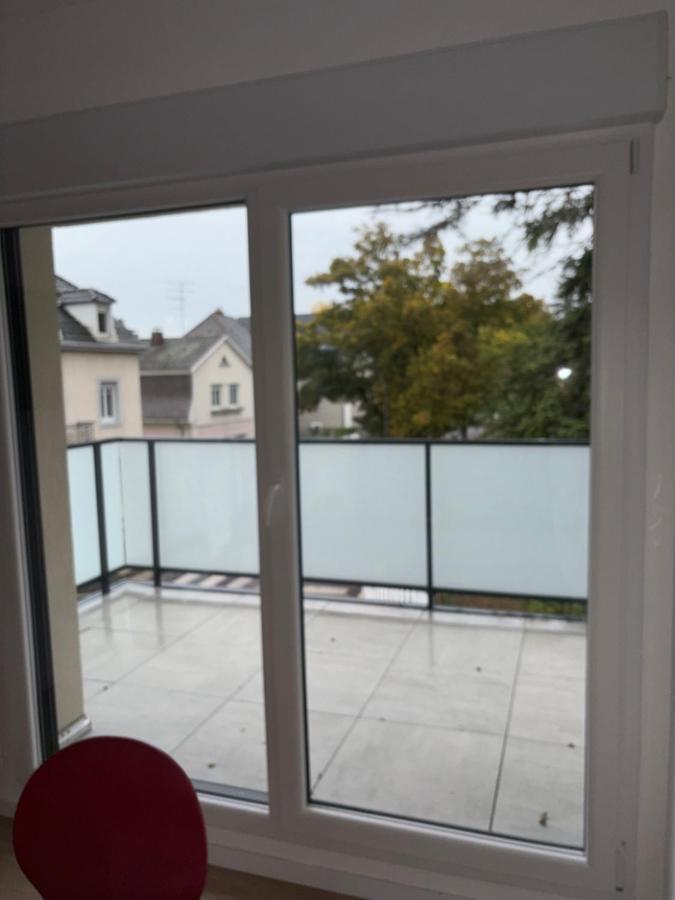 Duplex 6 Pers Neuf + Parking Lejlighed Mulhouse Eksteriør billede